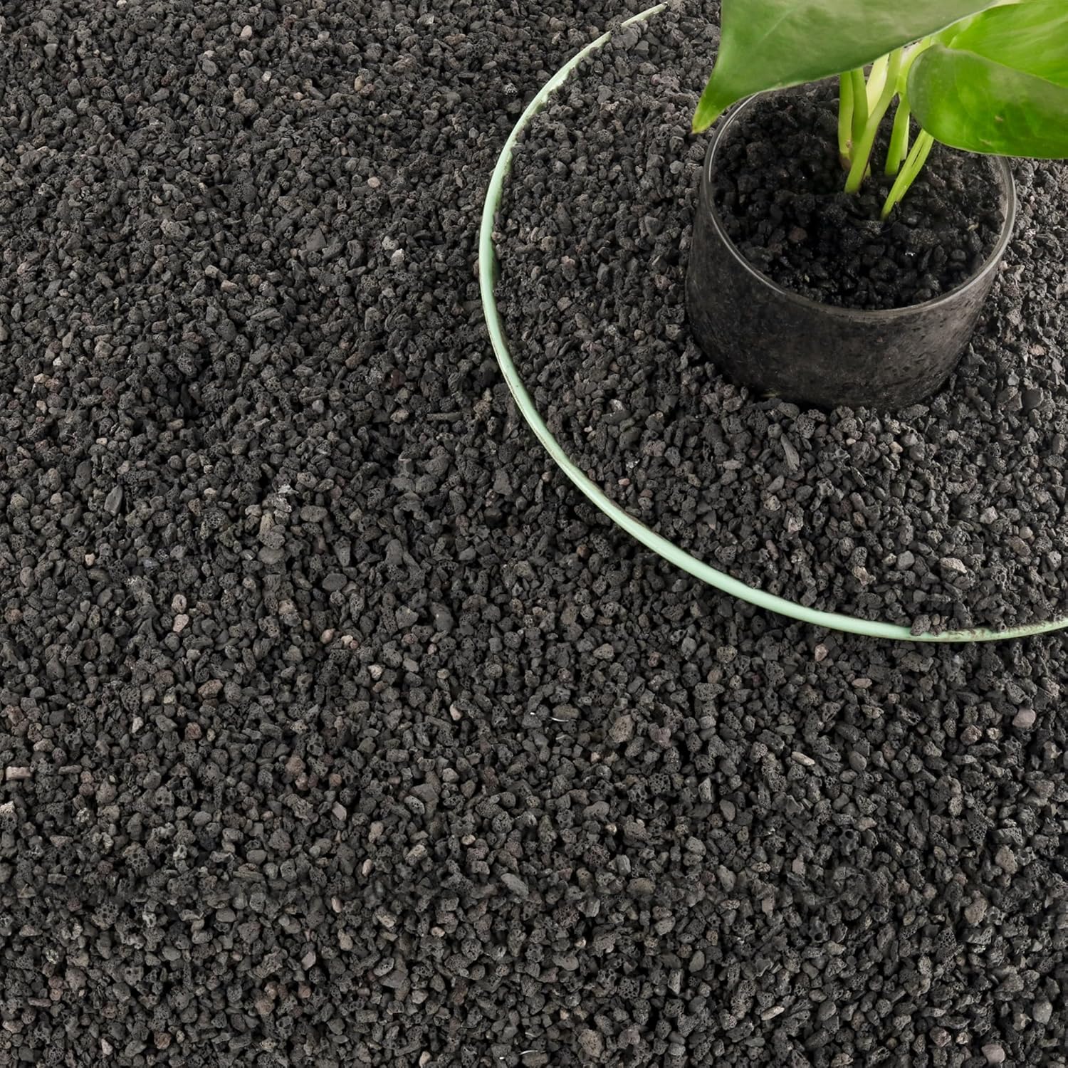 3 libras de material filtrante - Plant Aquarium Pot reseña y precio