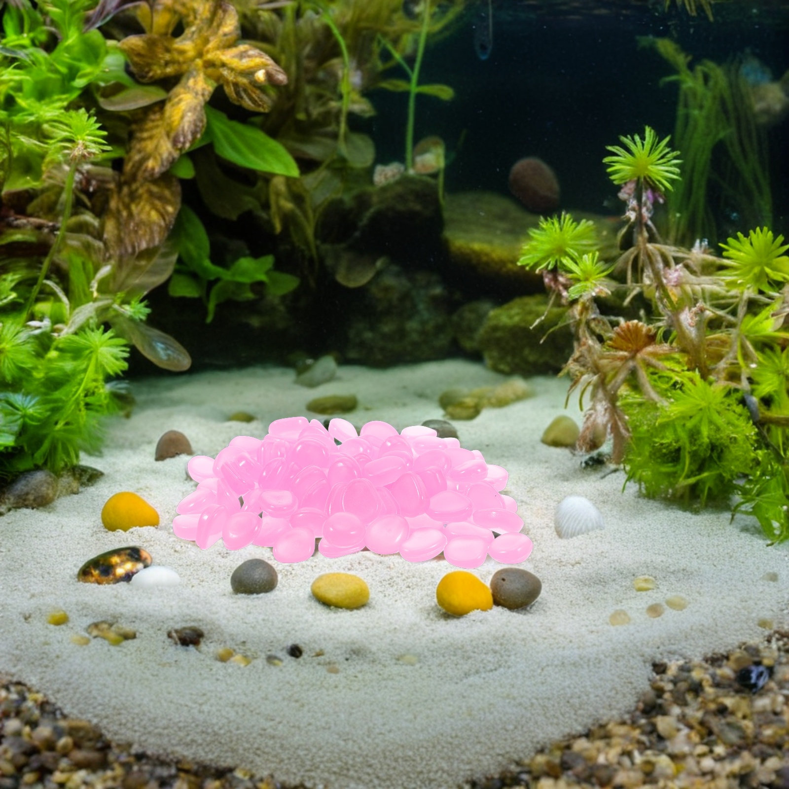 Piedras de resina que brillan  - Plant Aquarium Pot reseña y precio