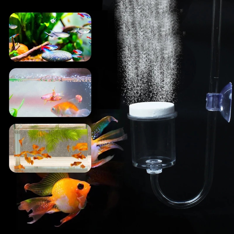 Juego de 4 piezas de difusor d - Live Plant Aquarium reseña y precio