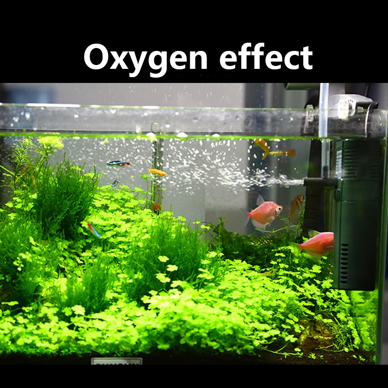 SUNSUN Mini Nano 111B 311B 611 - Aquarium Planted Tank Filter reseña y precio
