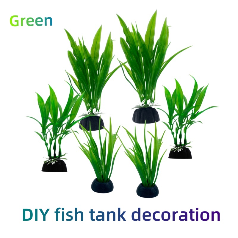 Paquete de 6 unidades de plant - Live Plant Aquarium reseña y precio