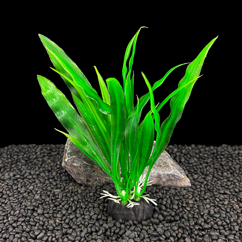 Paquete de 6 unidades de plant - Live Plant Aquarium reseña y precio