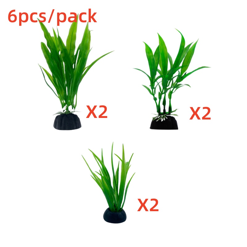 Paquete de 6 unidades de plant - Live Plant Aquarium reseña y precio